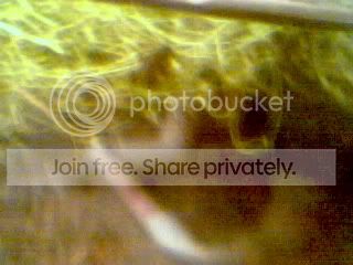 Picture347.jpg