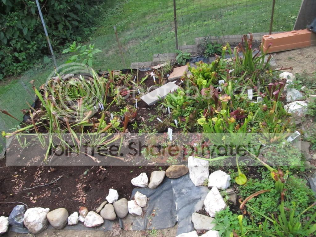 IMG_8552.jpg