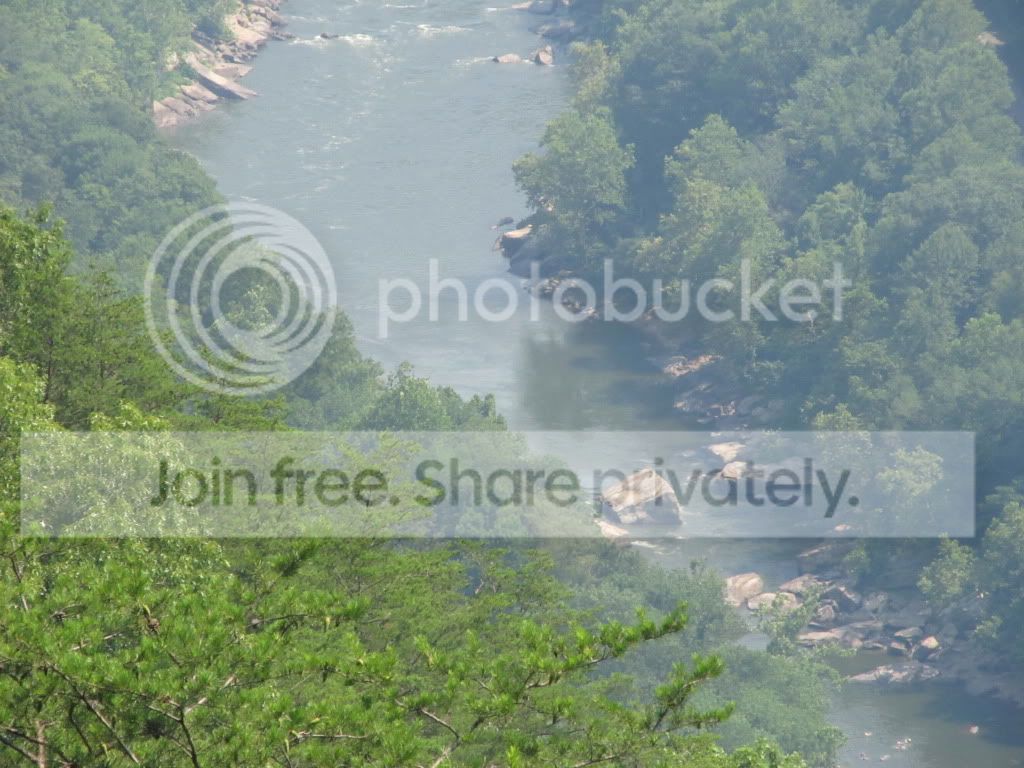 IMG_5223.jpg