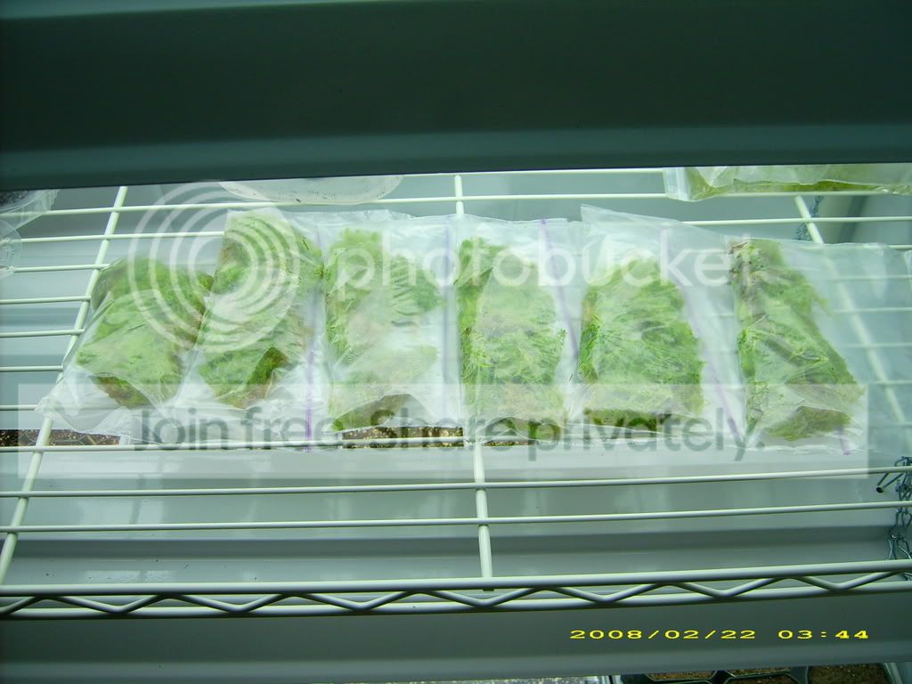 DSCI0476.jpg