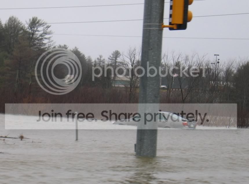 cardrowning3.jpg