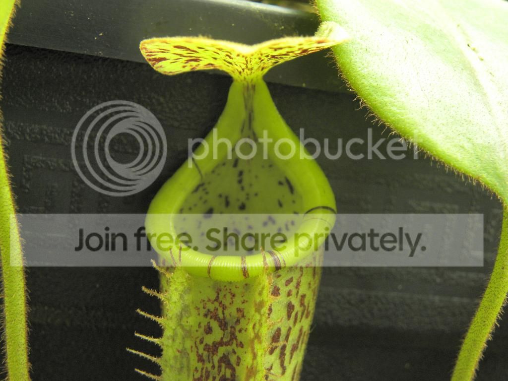 005_zps3b072f1d.jpg