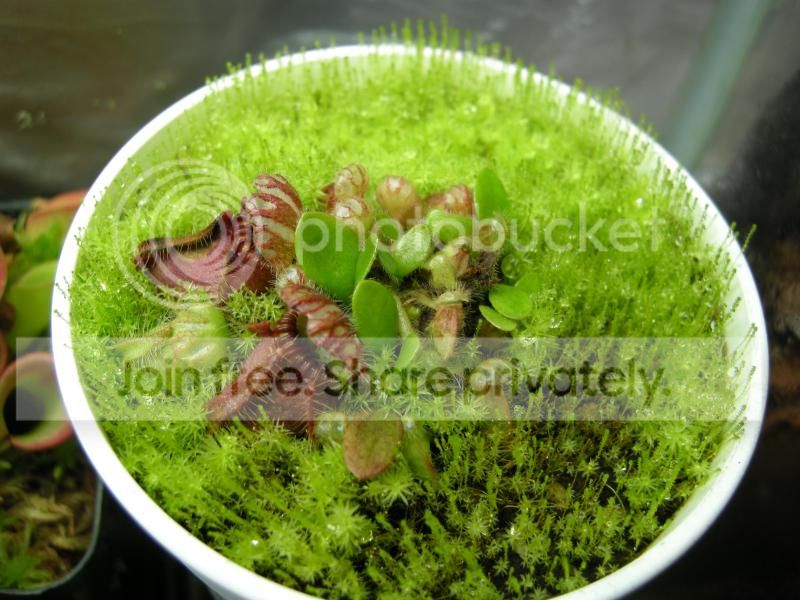 DSCN7458.jpg
