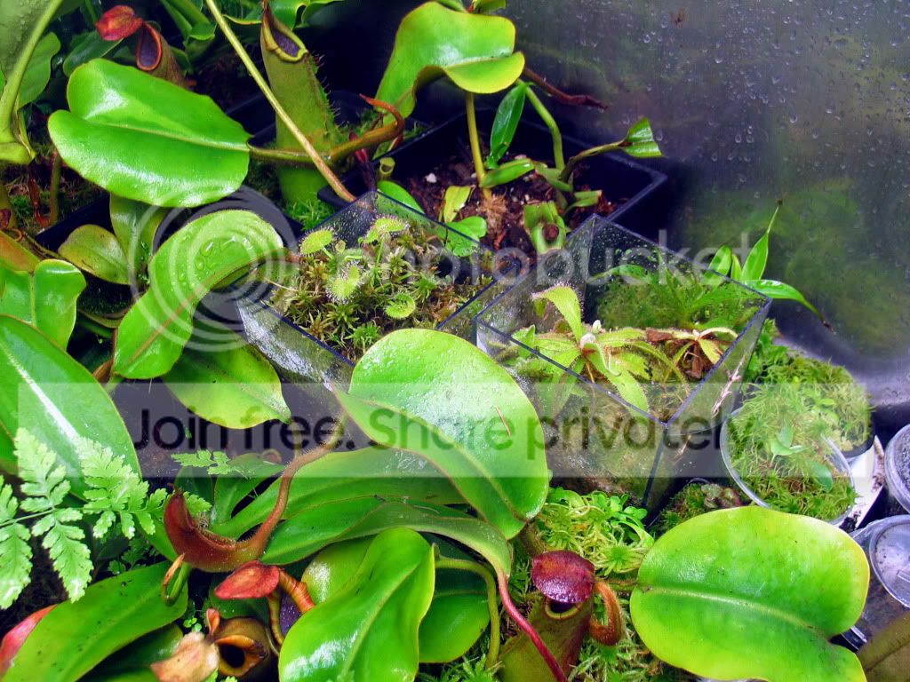 IMG_0256.jpg