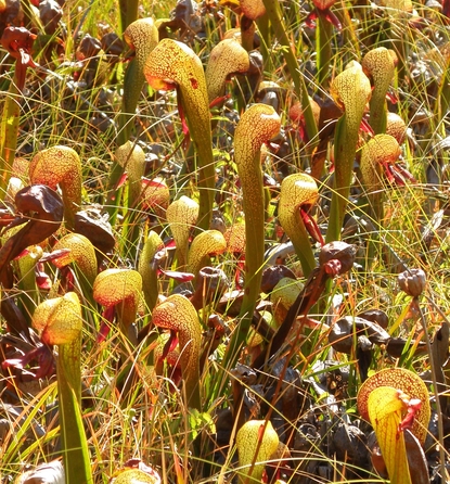 PA190870b.jpg