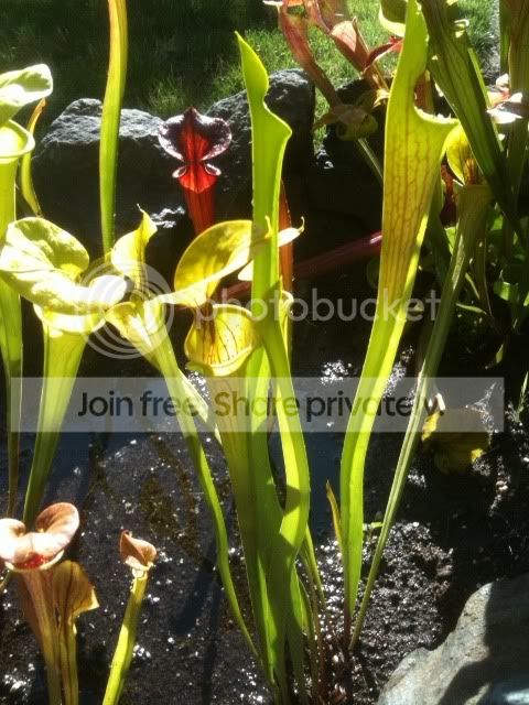 photo-12.jpg