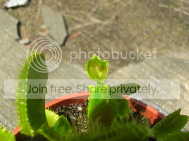 DSCN4534.jpg