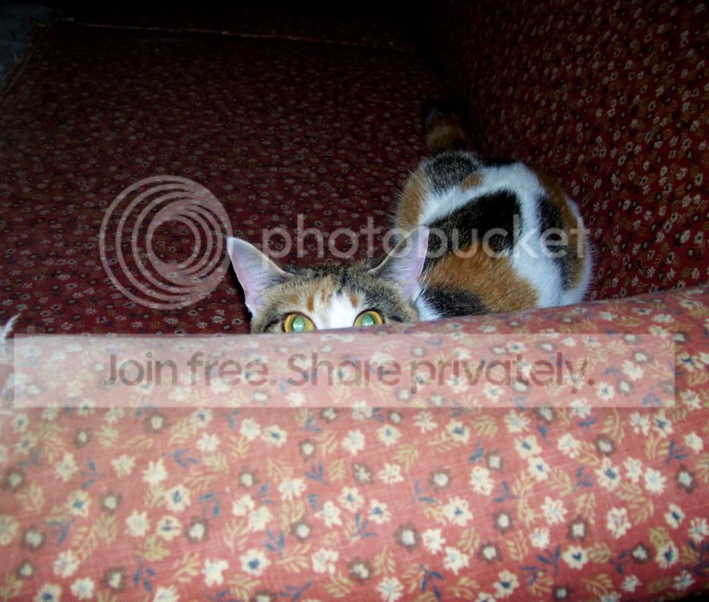 100_4324.jpg