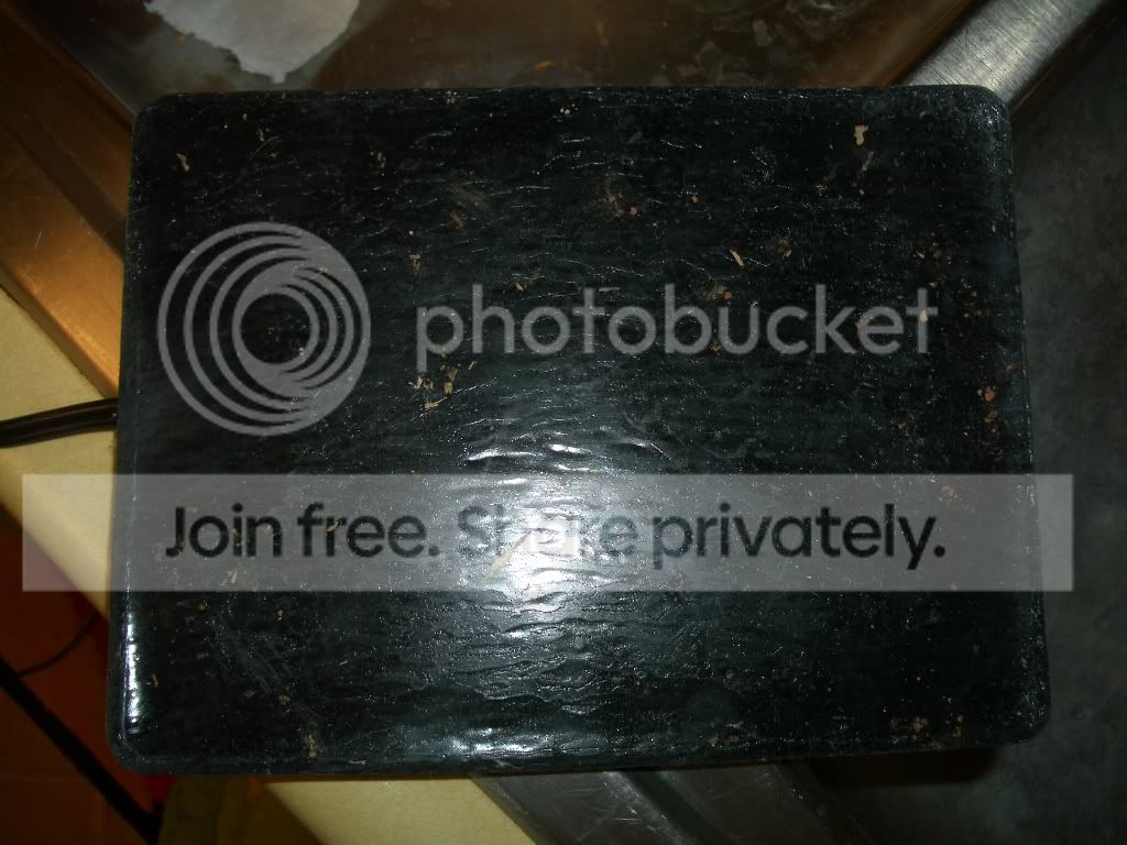 IMGP6199.jpg