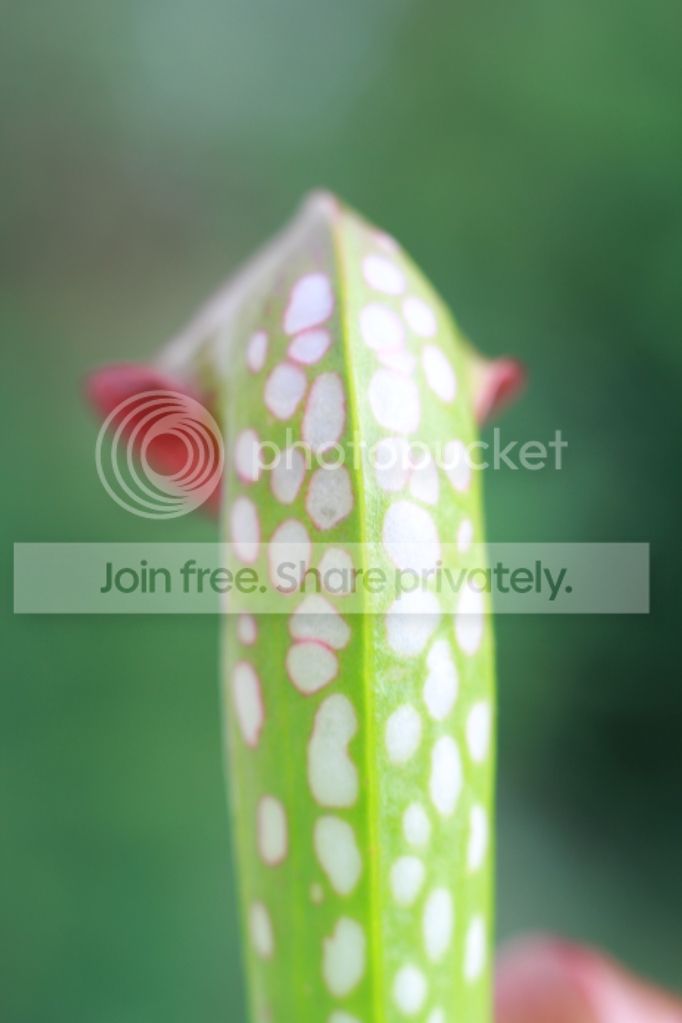 b80d9b99889ebf6ca0abf3975b69bff0.jpg