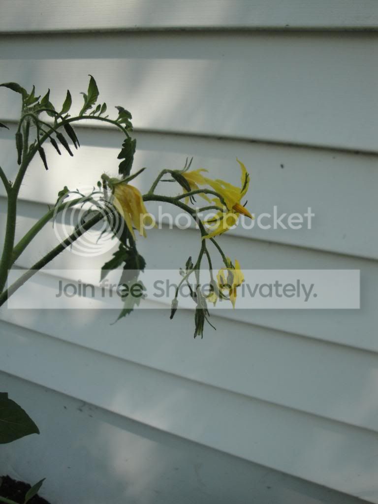 DSC03559.jpg