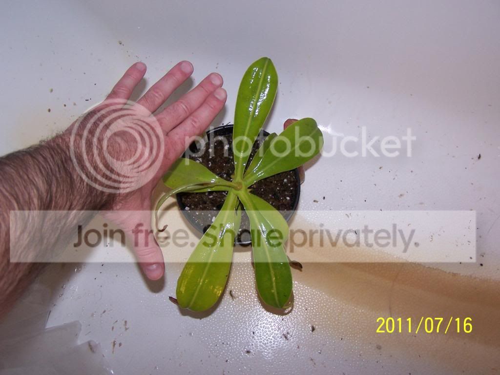 100_4826.jpg