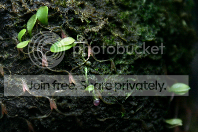 _MG_3910.png