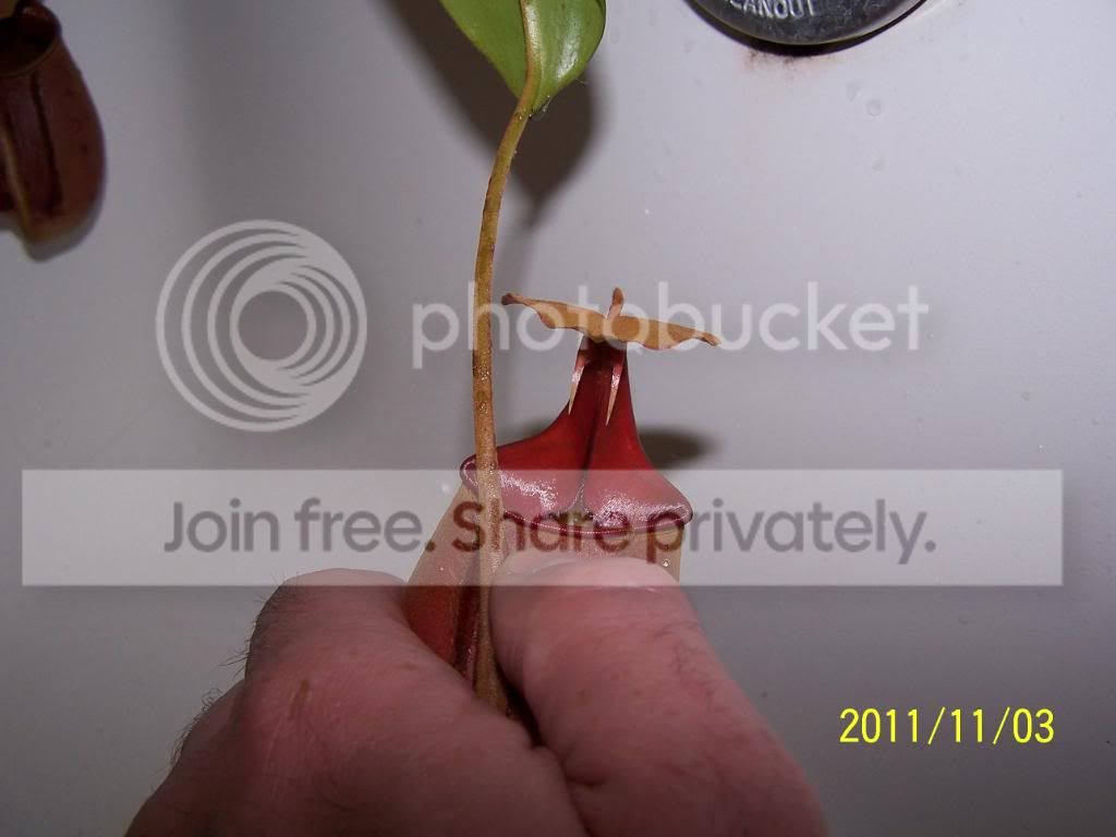 100_5507.jpg