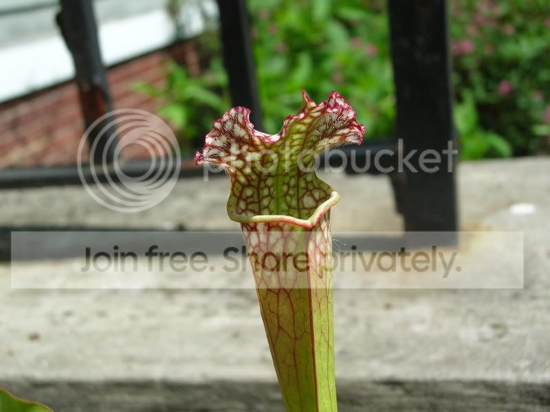 DSCN3831.jpg