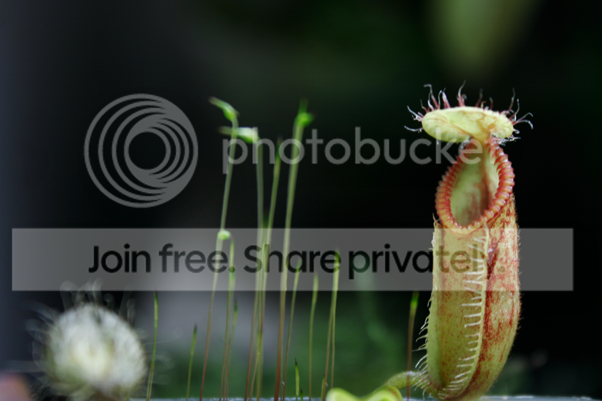 _MG_4567.png