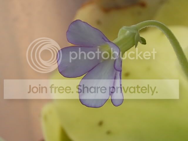 CSC_0184.jpg