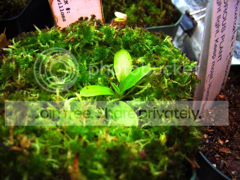 CPupdatesmostlyneps3-11-09015.jpg