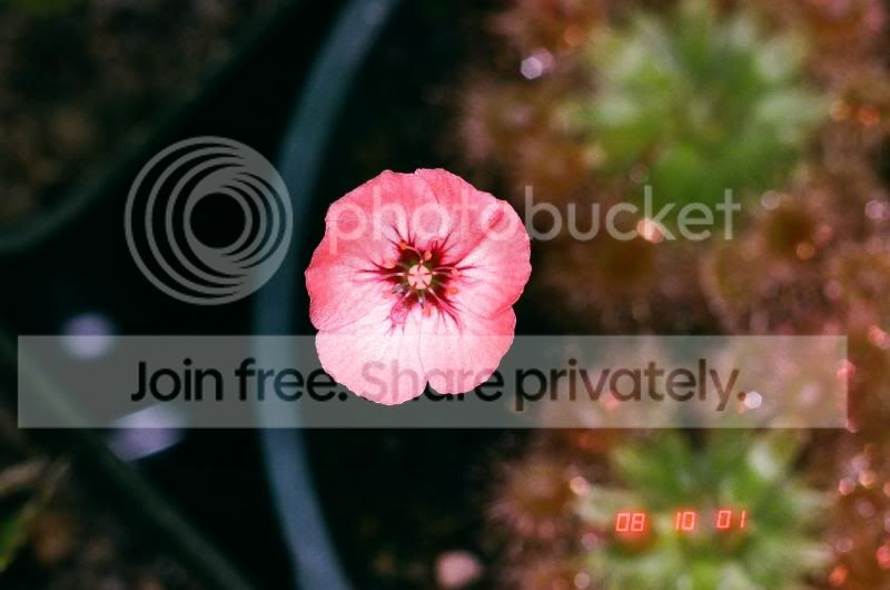 01300010.jpg