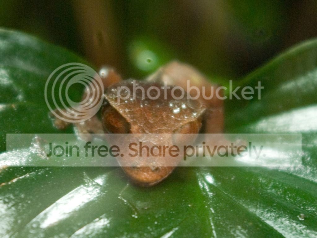IMGP3364_zpsctdtl2js.jpg