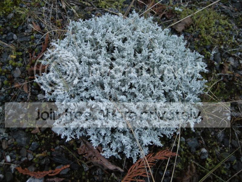 DSCN5527.jpg