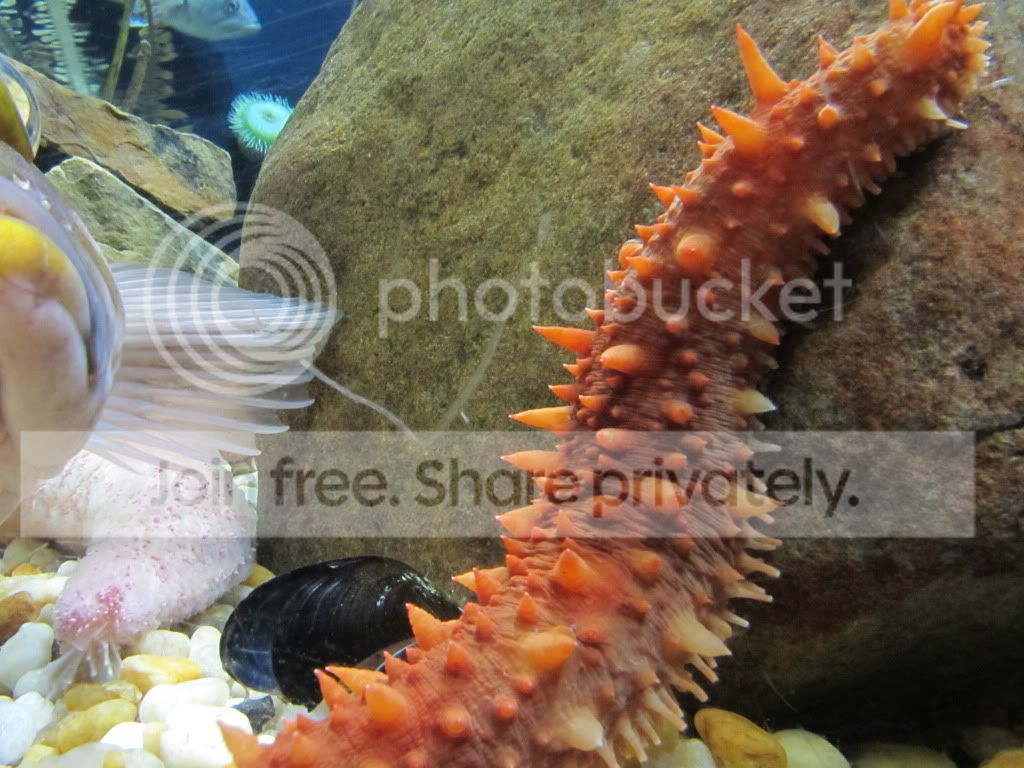 IMG_5586.jpg