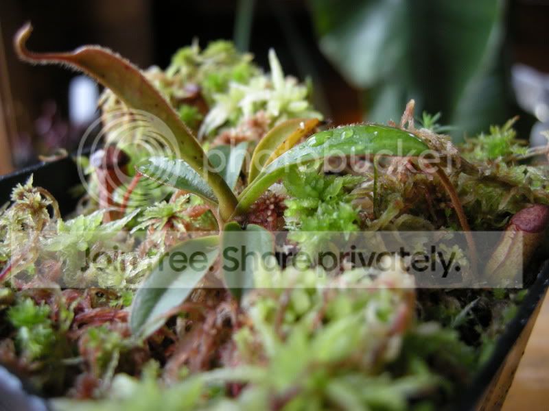 DSCN5830.jpg