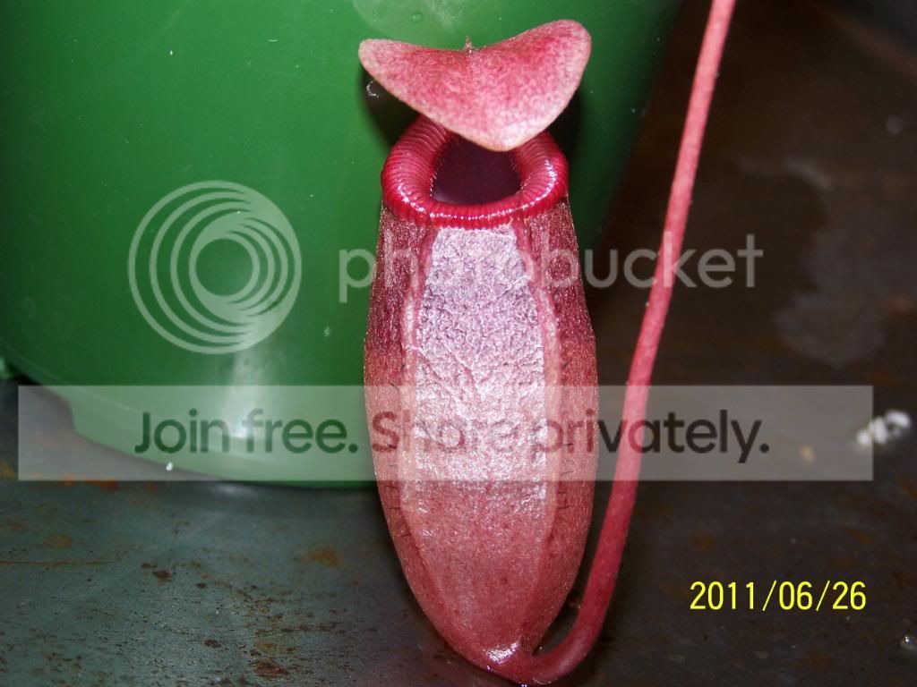 100_4718.jpg