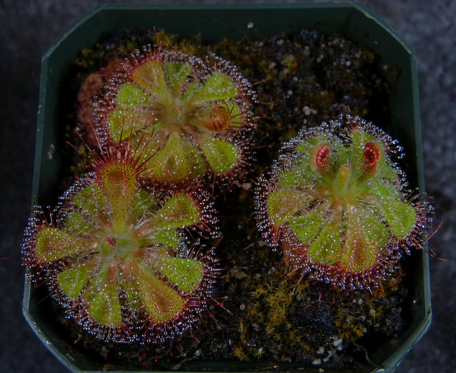 6478990089_ac36f53e91_z.jpg