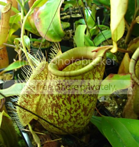 DSC01948.jpg