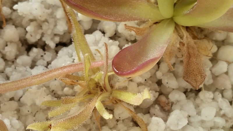 20130113.jpg