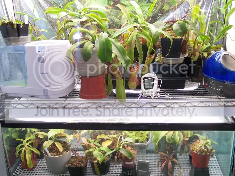 100_1560.jpg