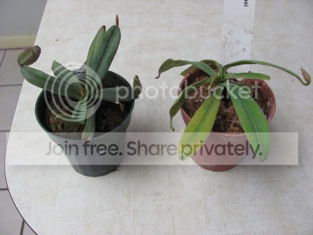IMG_2159.jpg