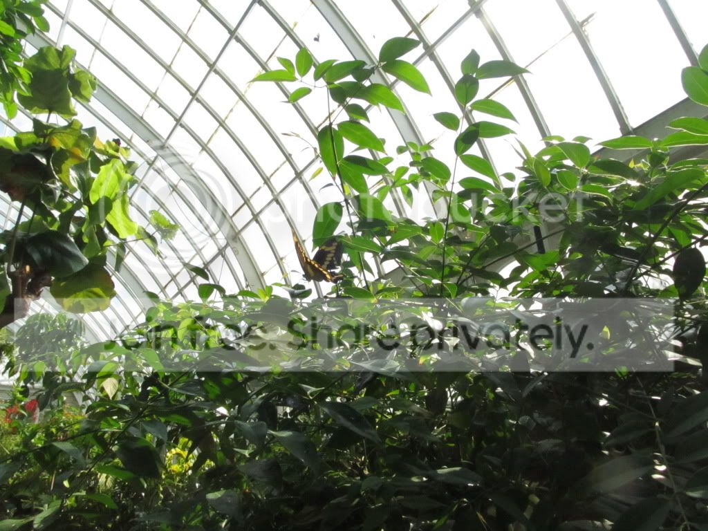 IMG_8341.jpg