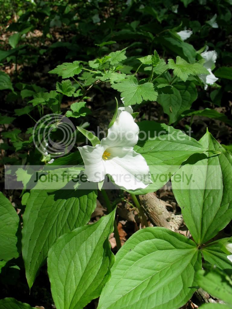 IMG_1783.jpg