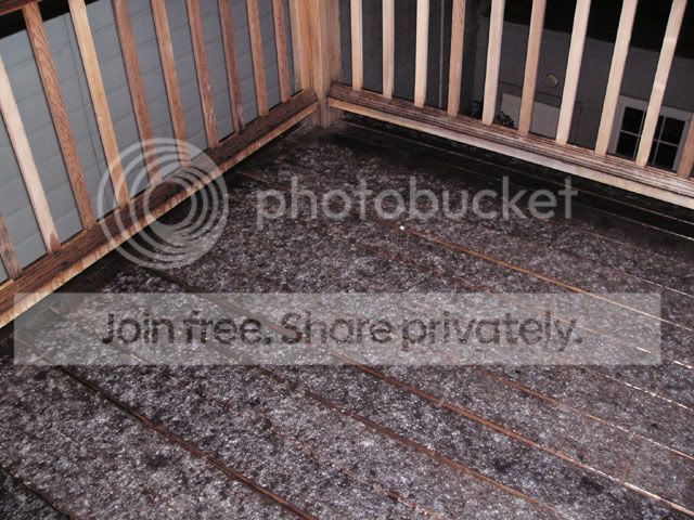 Snowinmarch06.jpg