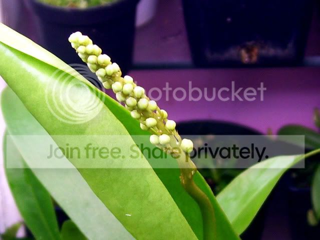 100_4357.jpg