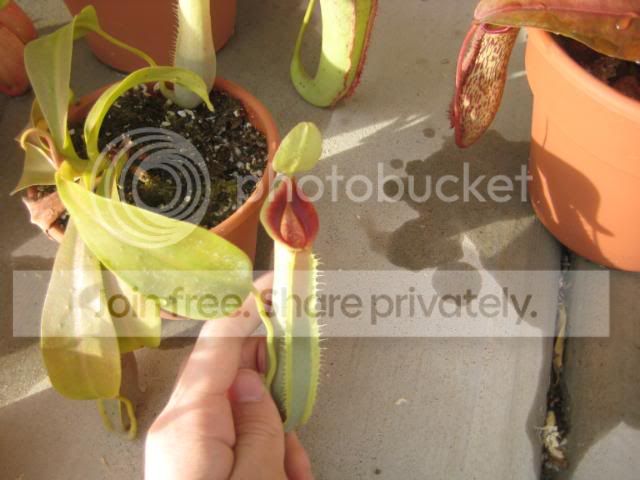 IMG_1250.jpg