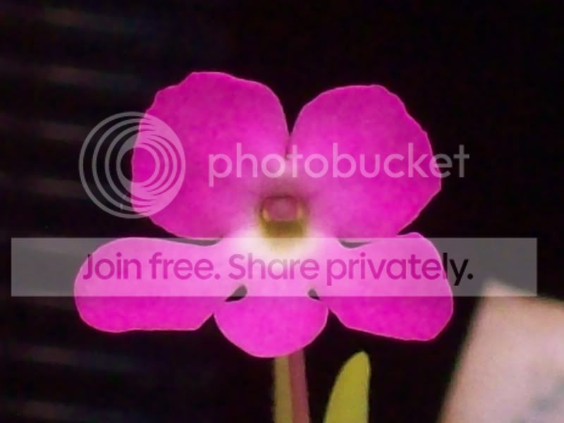 100_9905.jpg