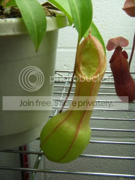 DSCN3435.jpg