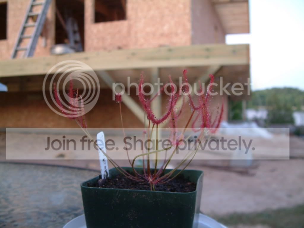 randomCPpictures009.jpg