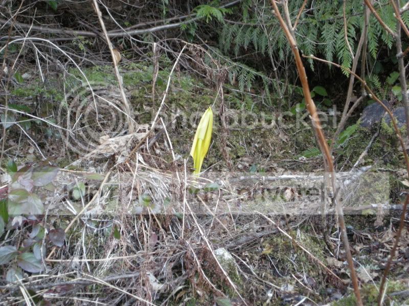 DSCN5887.jpg