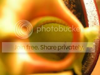 PICT0070.jpg