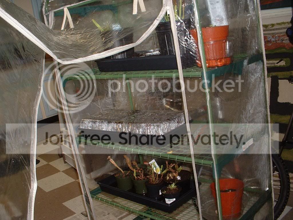 TellMePhotoshootAndMyGreenhouse045.jpg