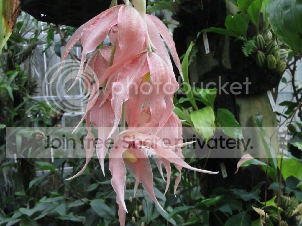 IMG_5839.jpg