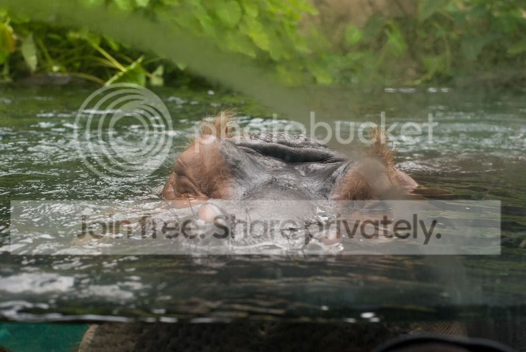 IMGP3676_zpsvx5xaqh7.jpg