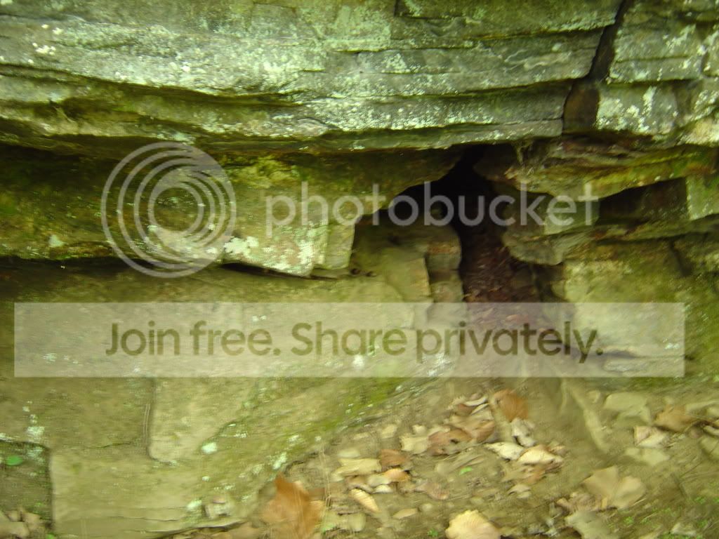 DSC03697.jpg