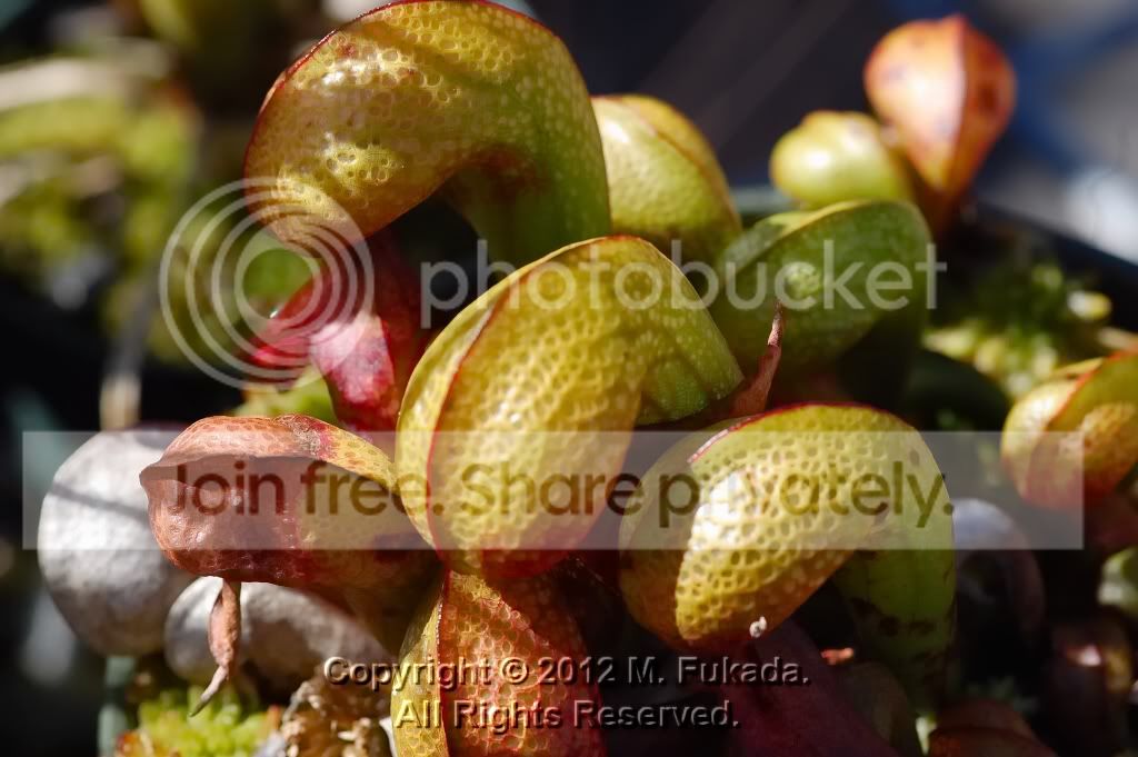 DSC_00050002_6_hf.jpg