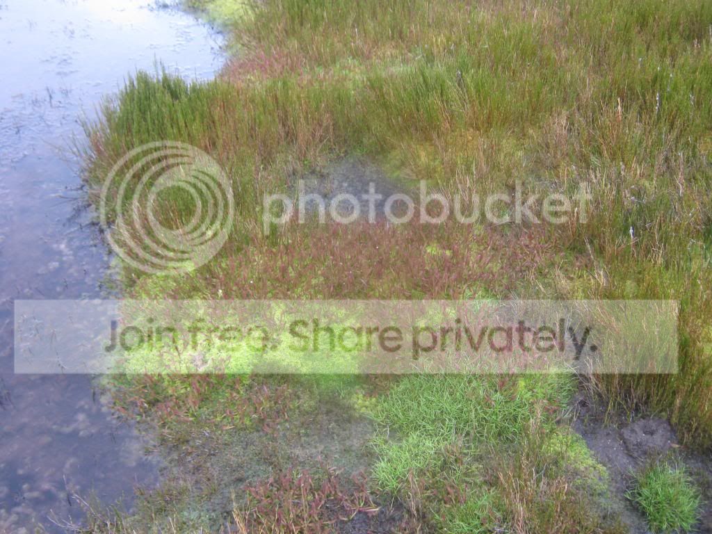 IMG_5092.jpg