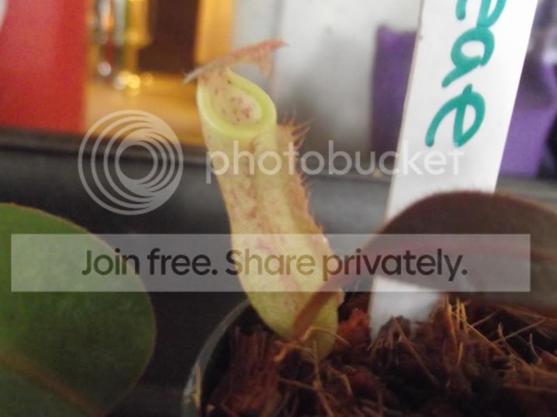 DSCF6791.jpg